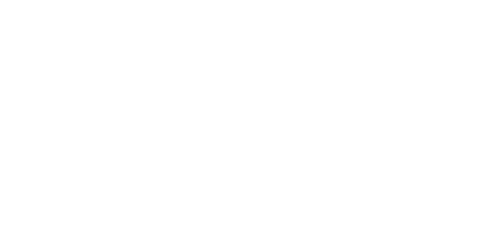 Sunny Footwear
